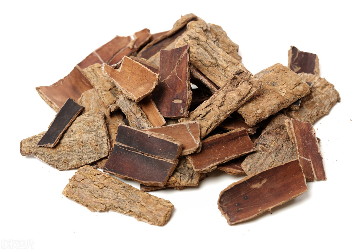 桂皮剥下来树会死吗,为什么黄柏树皮剥了不会死