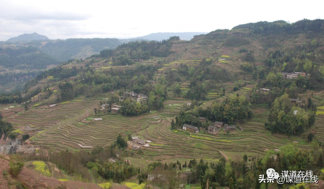 马氏家族的传奇故事,马氏家族发家史