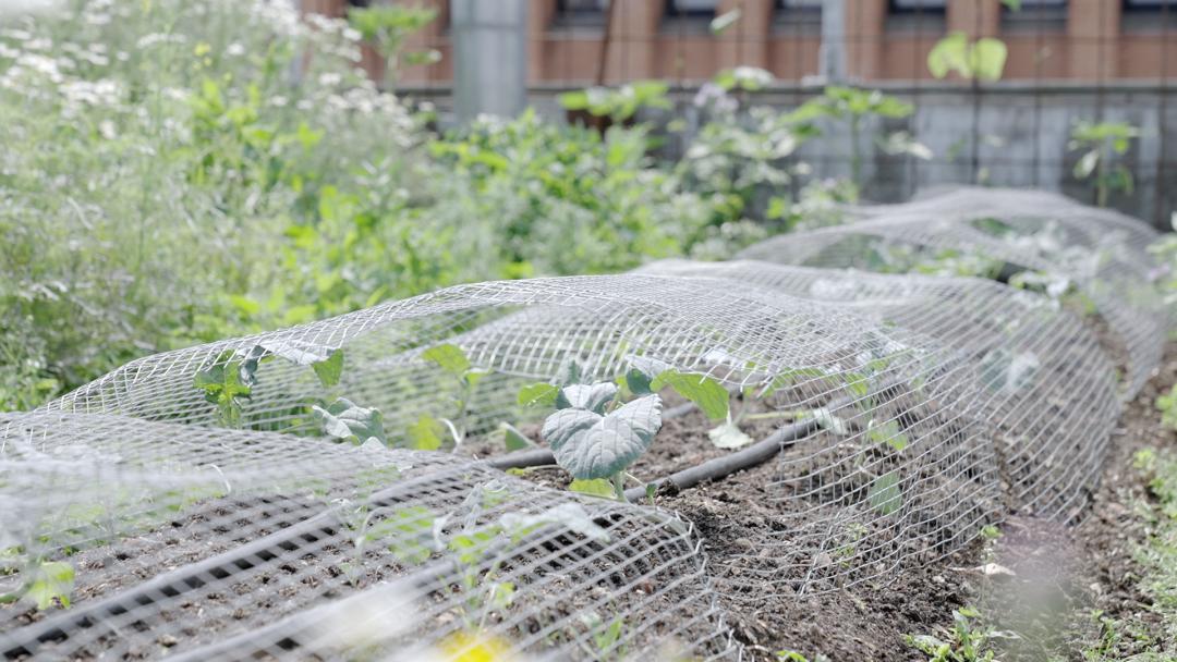 丹麦人的生活方式视频,丹麦人的节俭生活