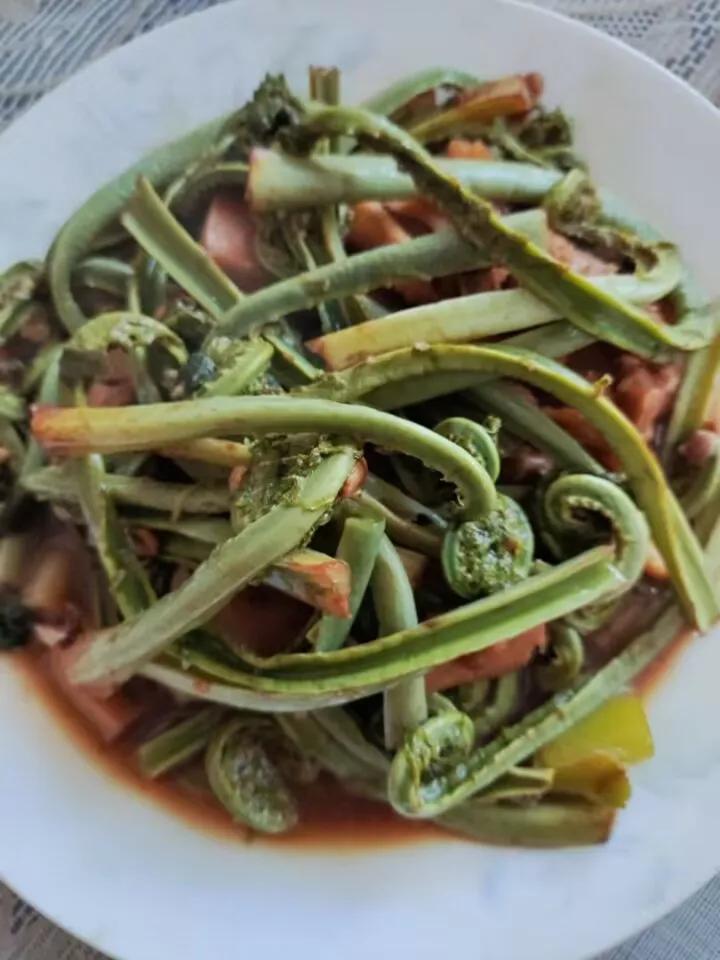 东北山野菜广东菜图片,东北的山野菜广东菜怎么吃