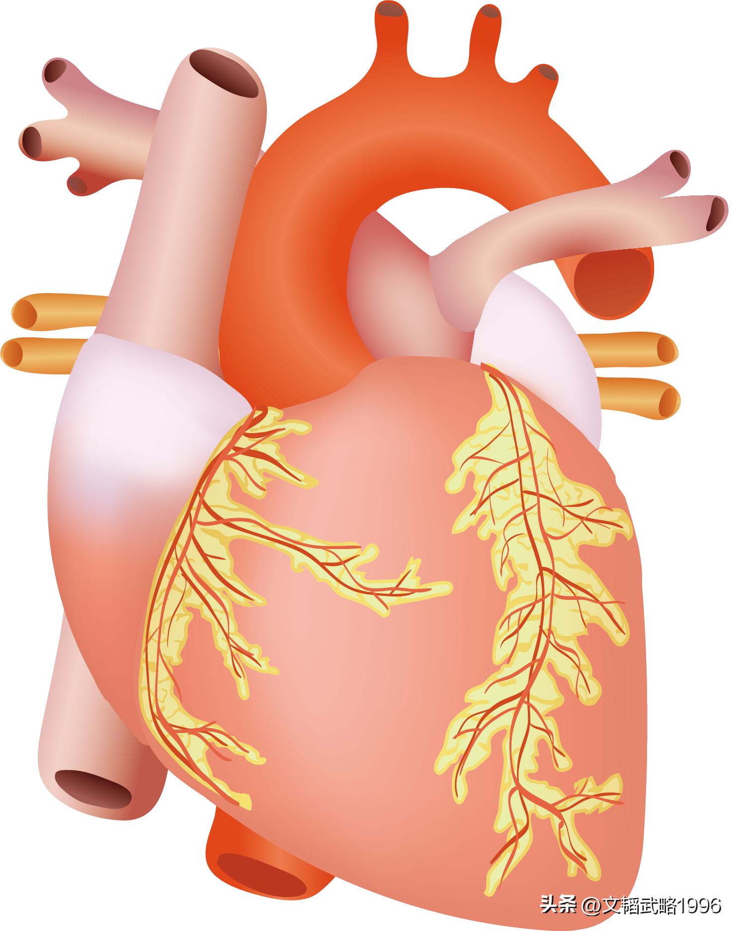 感染新冠对老年人的危害有多大,有心脏疾病的老人感染新冠怎么办