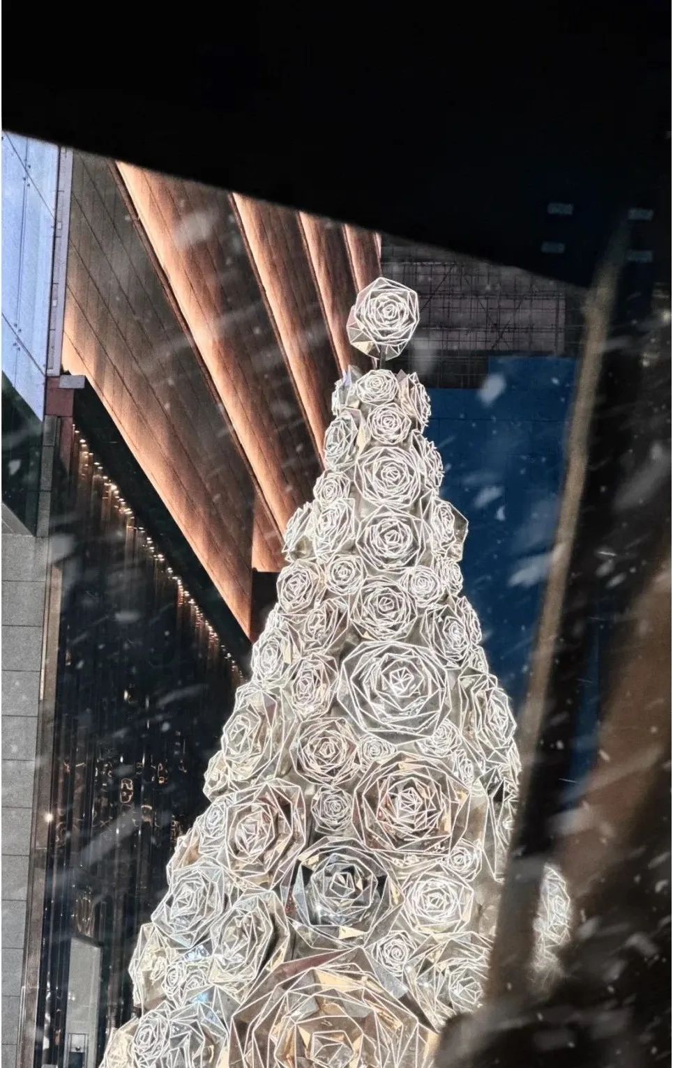 diodes神仙打架,dior和香奈儿神仙打架