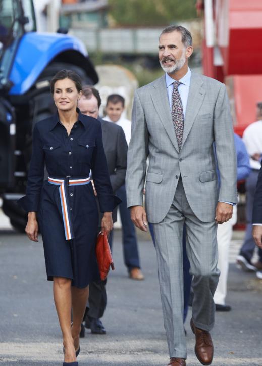 瑞典国王是谁的儿子,瑞典国王唯一的儿子