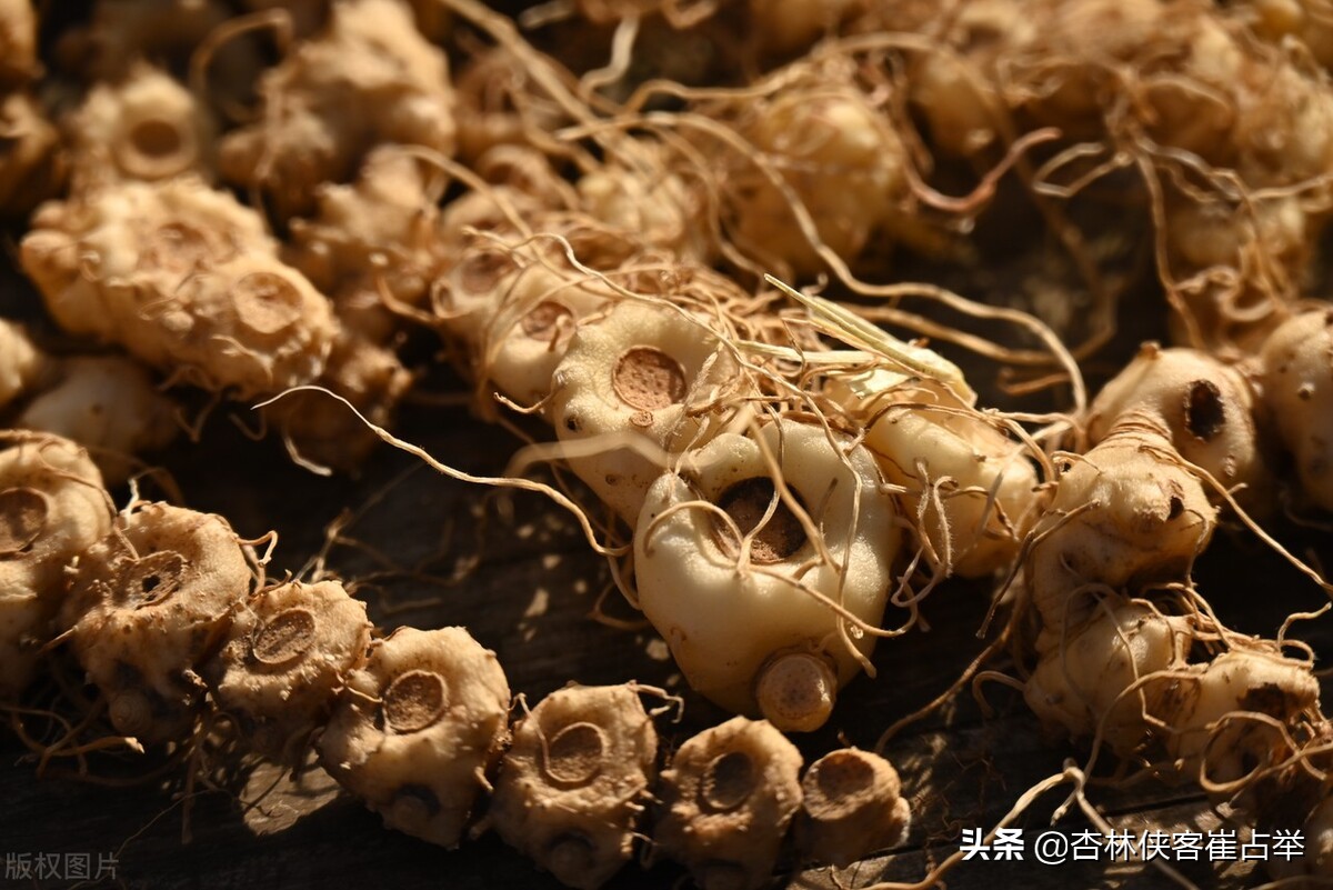 乌鸡白凤丸补心补肝补脾补肺补肾,如何补肝润肺补脾补肾