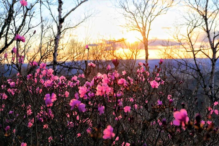 春节期间不要买什么东西,春节不应该买的食物