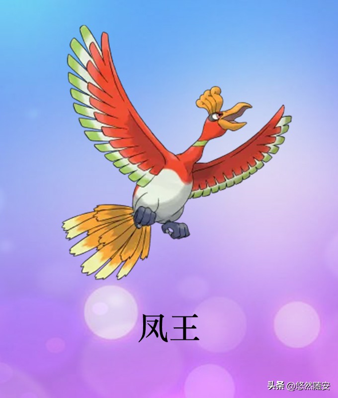 宝可梦伊布全部进化形态,宝可梦剑盾泪眼蜥进化形态