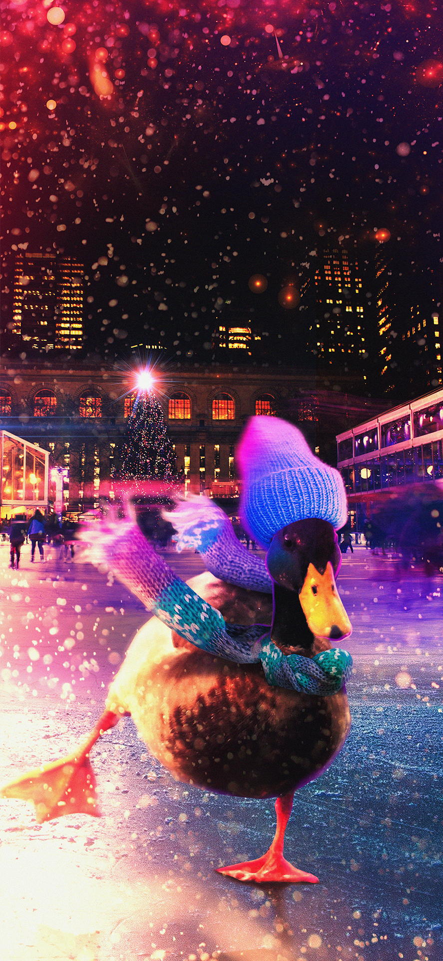 唯美治愈系壁纸全屏高清4k,壁纸唯美治愈花