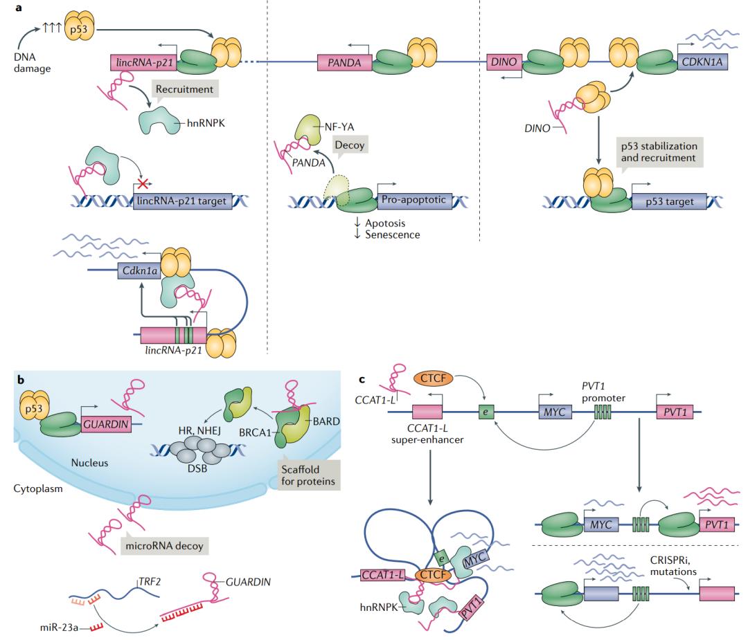 nature最新论文,nature论文最新发现