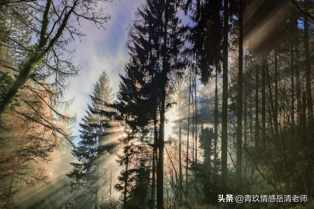 心理学缺爱的女生怎么追,心理学缺爱怎么解决