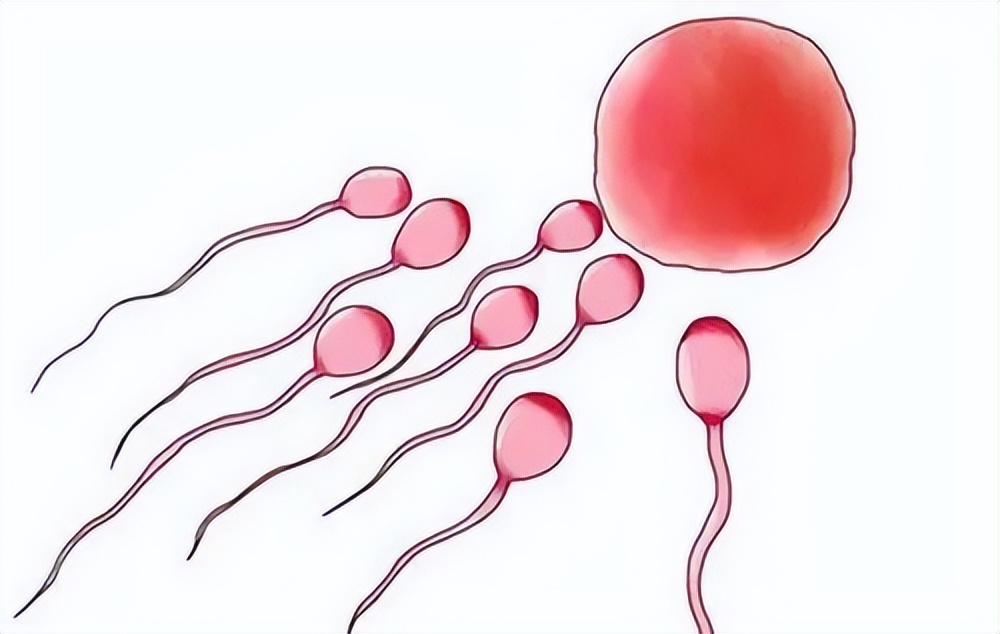 激情过后发现血精，是不治之症？还是性病？