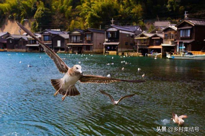 日本最美海边村伊根町在哪里,日本北海道乡村旅游案例
