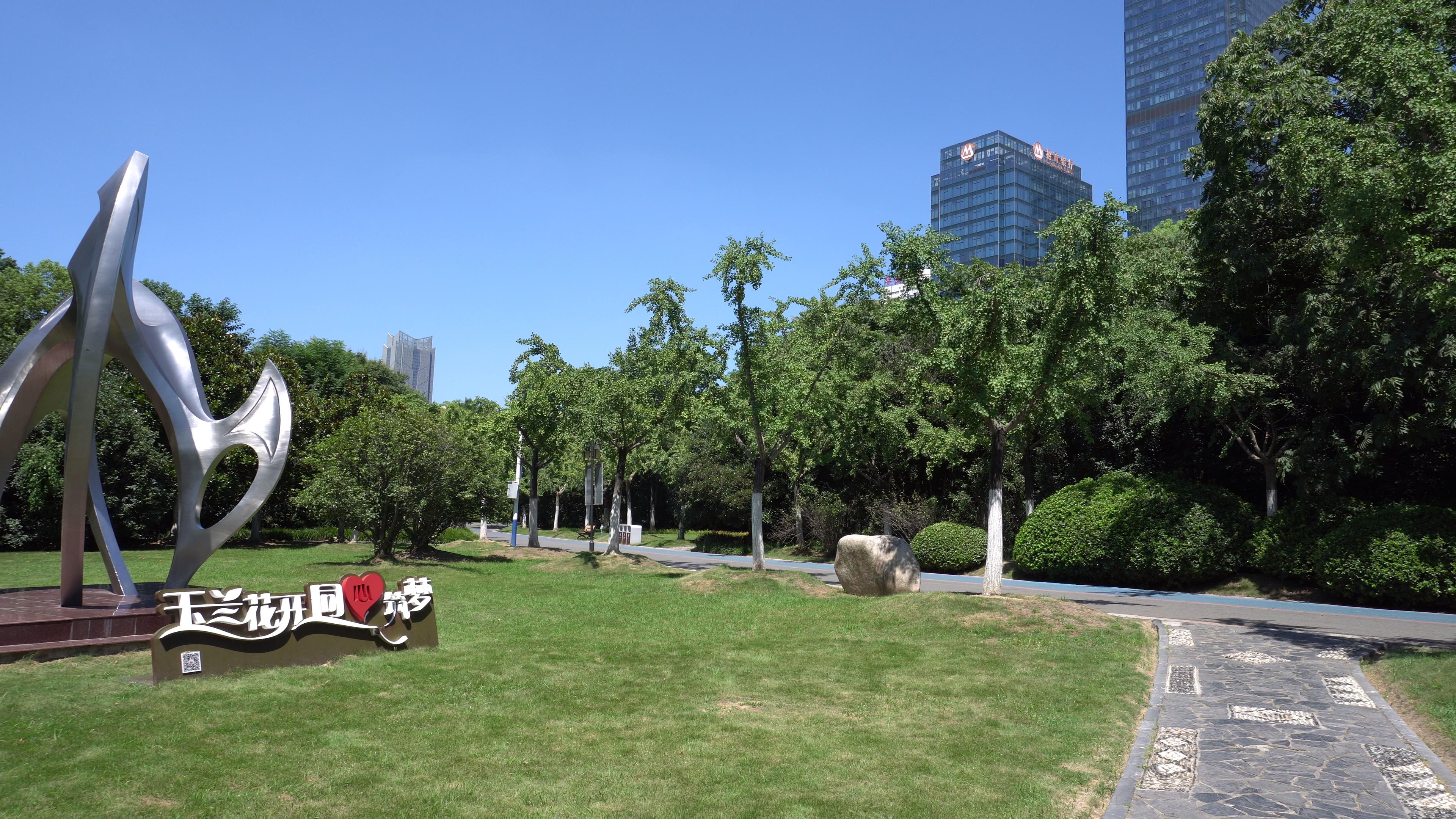 合肥的杏花公园的位置,有一棵杏花树的公园合肥