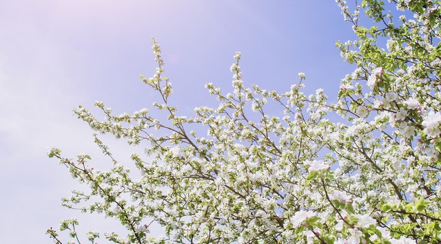 让你身材变得特别好的规律作息,怎么才能让自己的身材变得更好