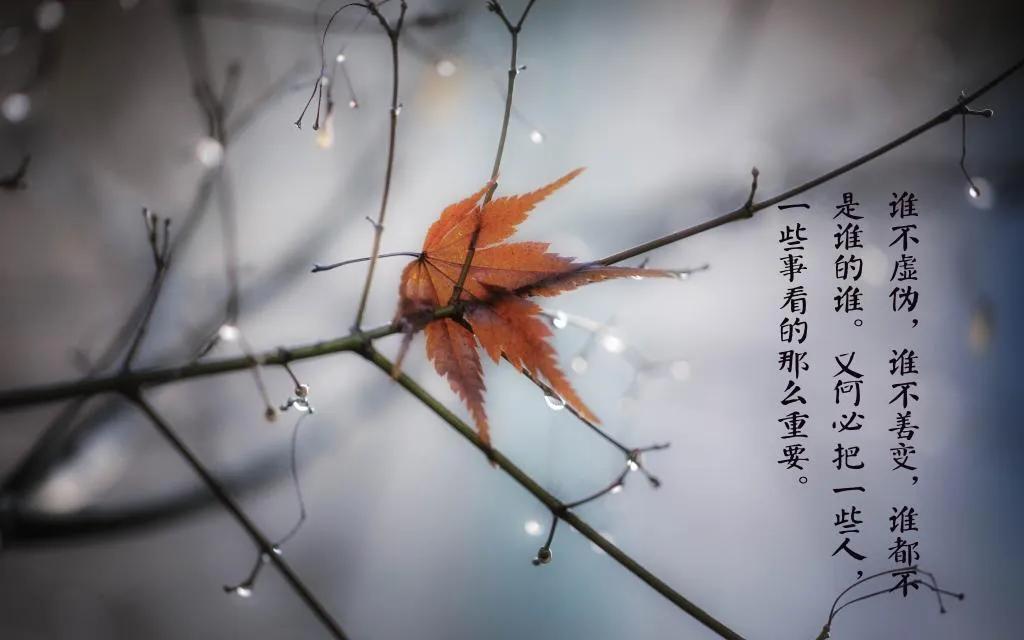 人一旦寒了心不是冷漠就是沉默,人一旦心寒了不是沉默就是冷漠