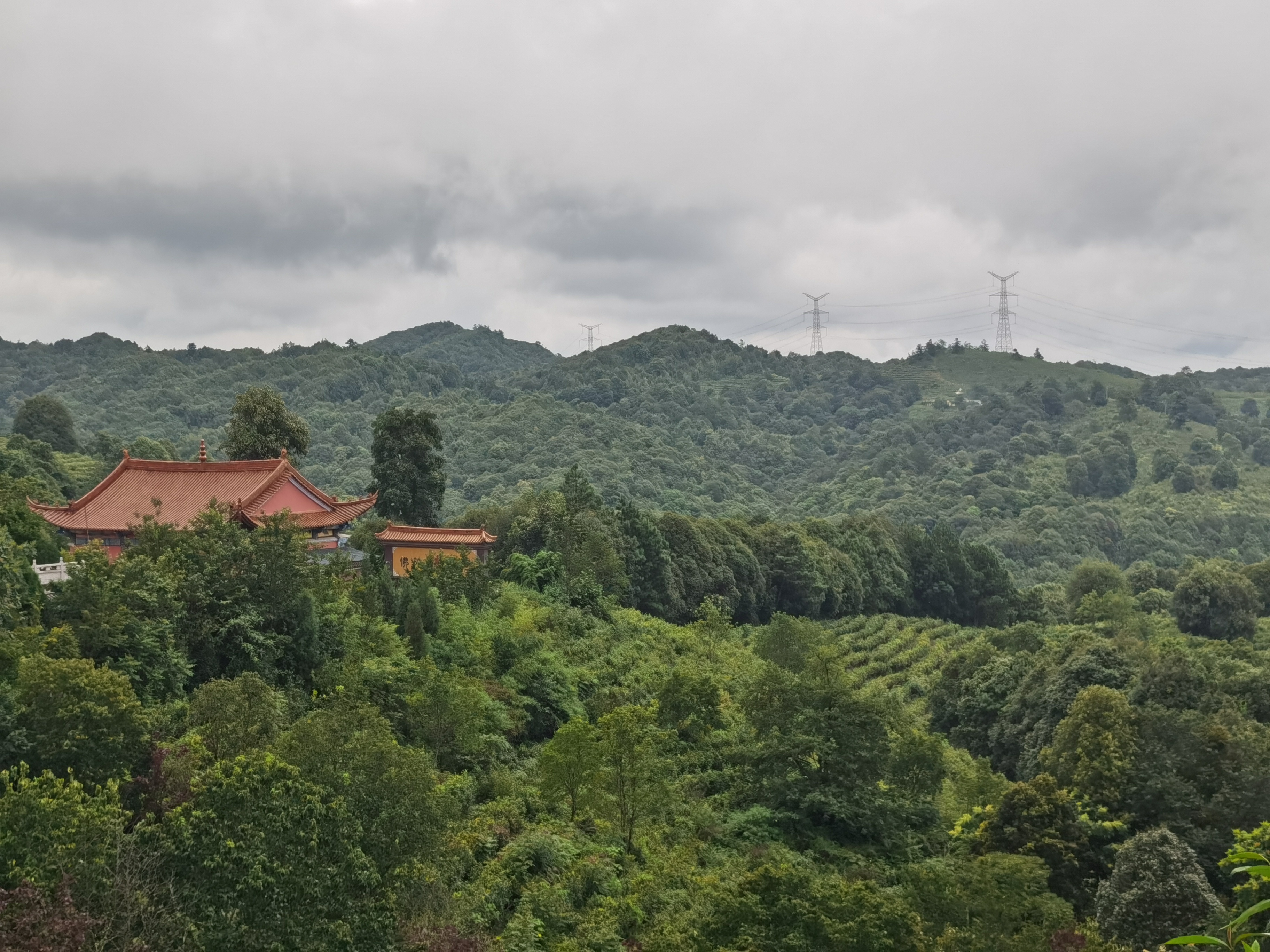 峨山云茶山庄茶地雪景,峨山县云茶山庄景区8月