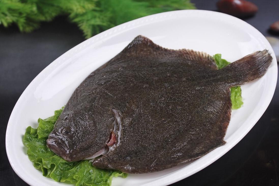 如何区别认识市面上常见的几种鱼,各种鱼怎么分类