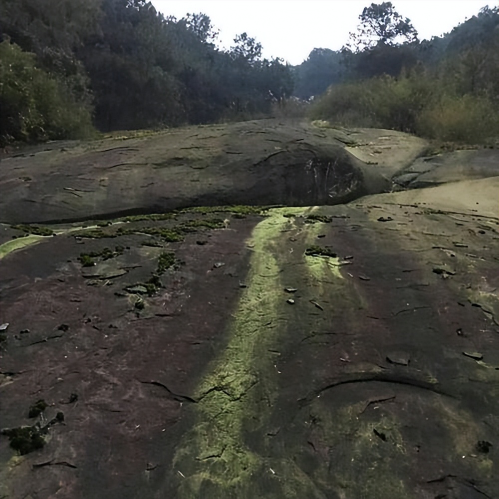 璧山青龙湖一日游最佳路线,万里长江唐诗
