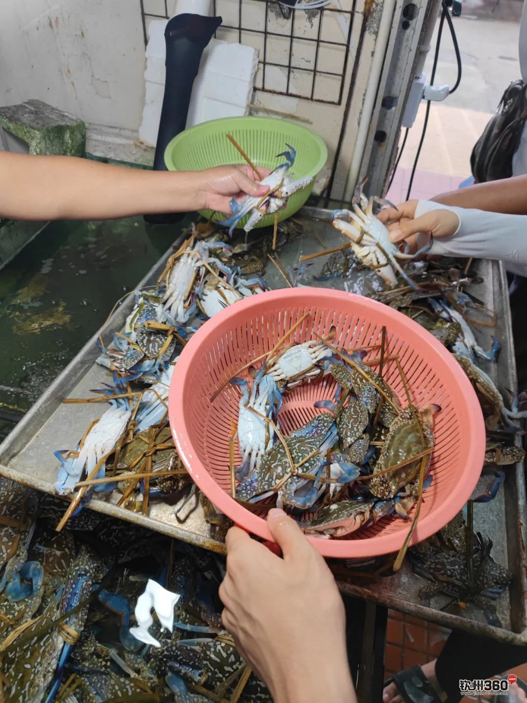 实现了海鲜的自由,在钦州能实现海鲜自由吗