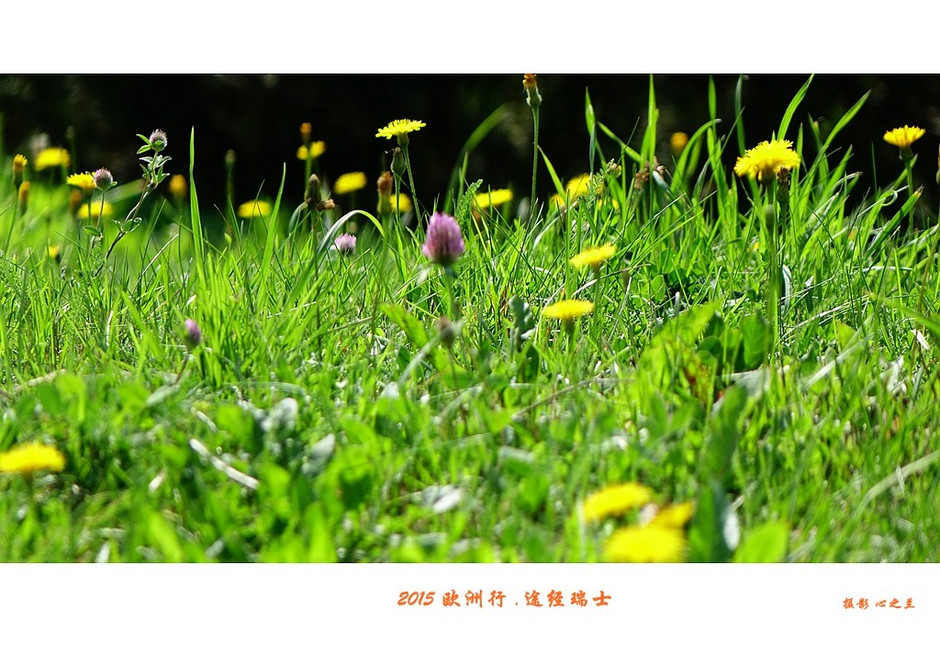 中西欧跟团游,列支敦士登旅游记