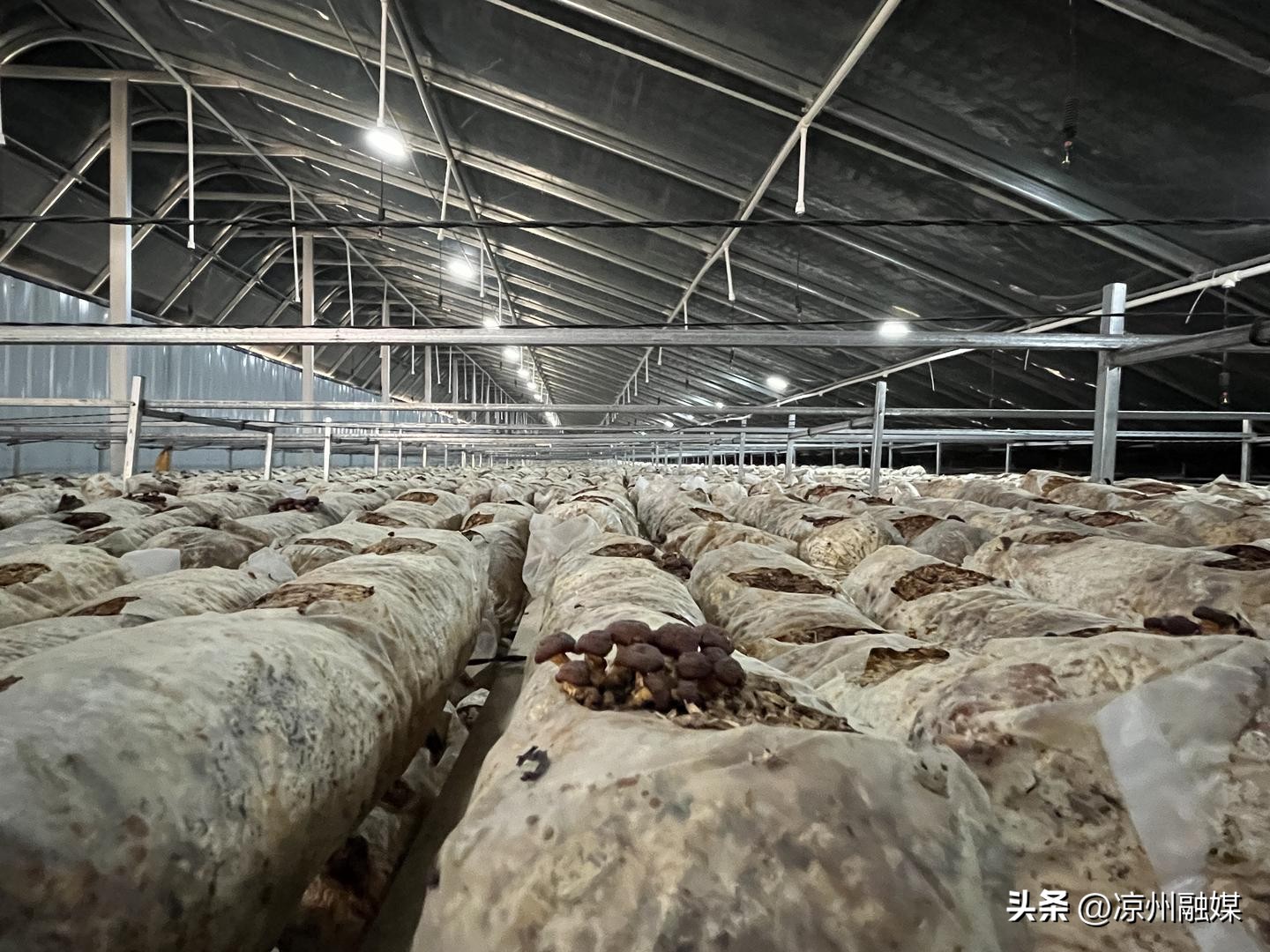 真心诚意办实事民生举措暖人心,扎实办好民生实事提升群众获得感