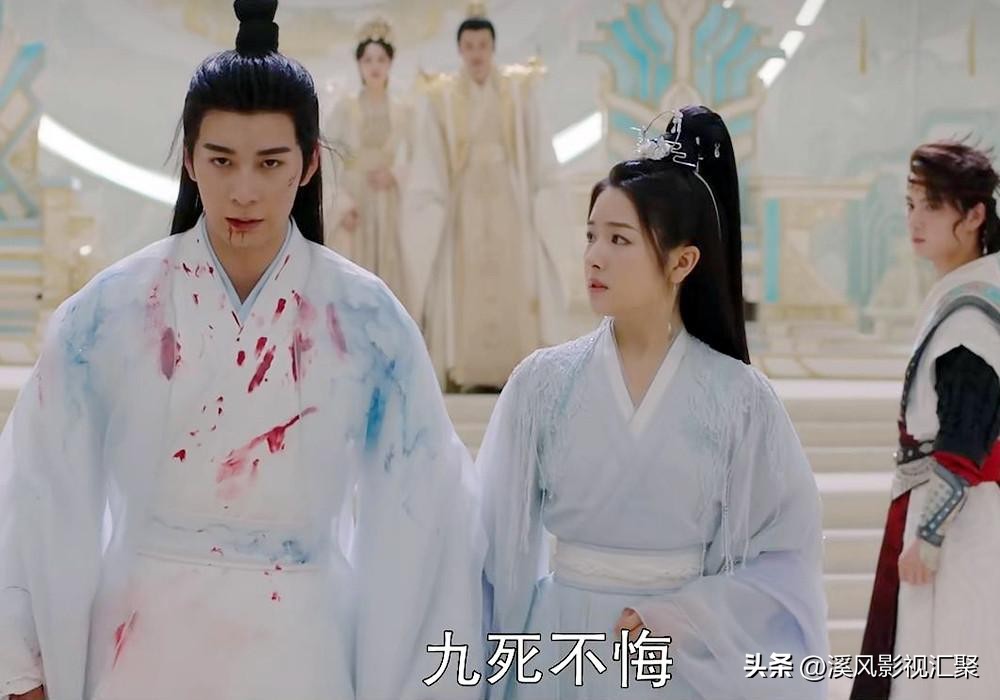 星落凝成糖青葵与夜昙为何换身份,星落凝成糖夜昙和青葵的真实身份