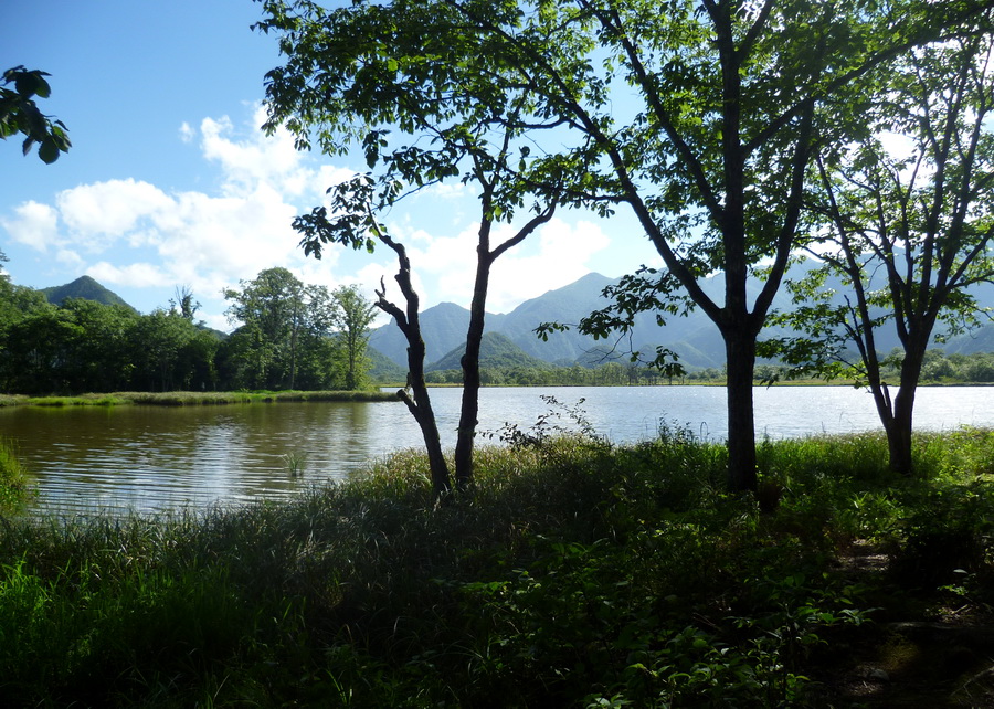 带你欣赏大九湖的美景,大九湖之旅