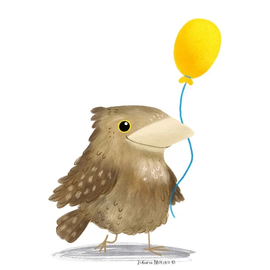 鸟类插画大全,鸟类插画艺术欣赏