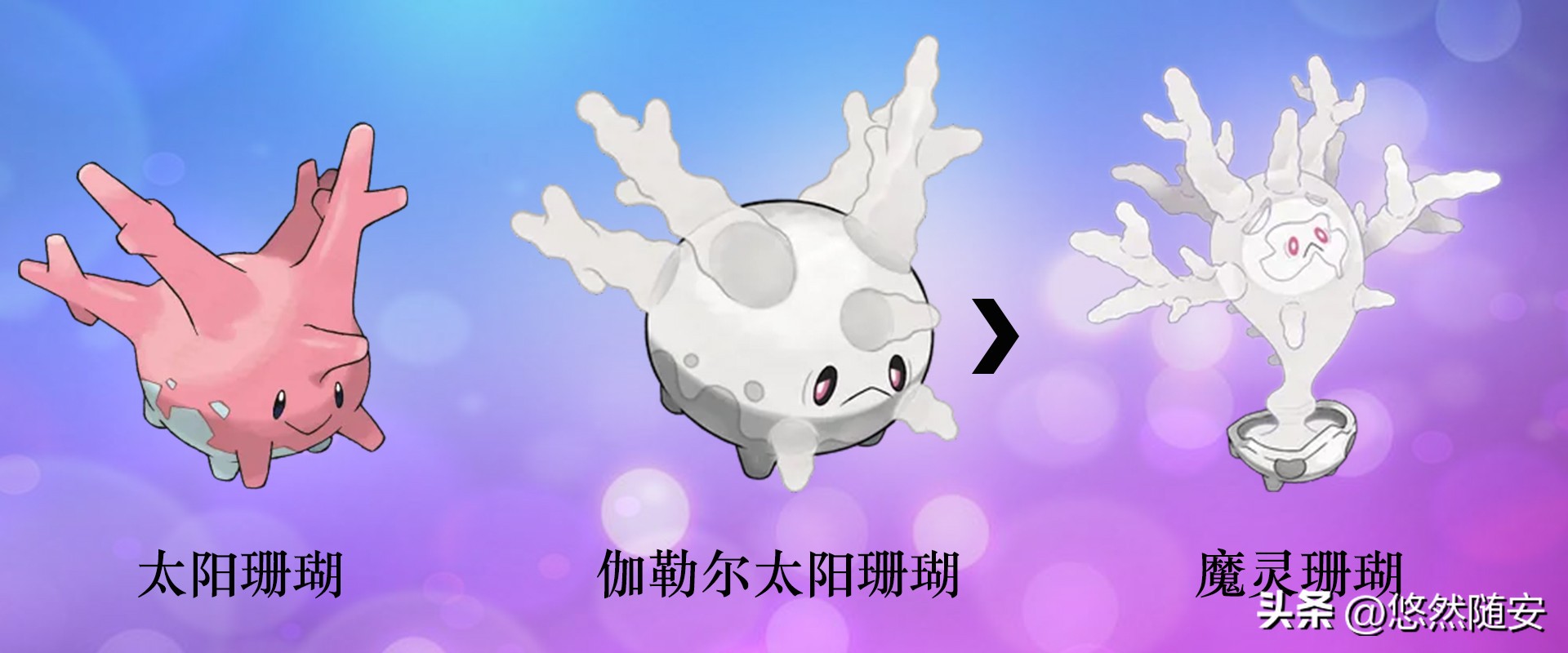 宝可梦伊布全部进化形态,宝可梦剑盾泪眼蜥进化形态