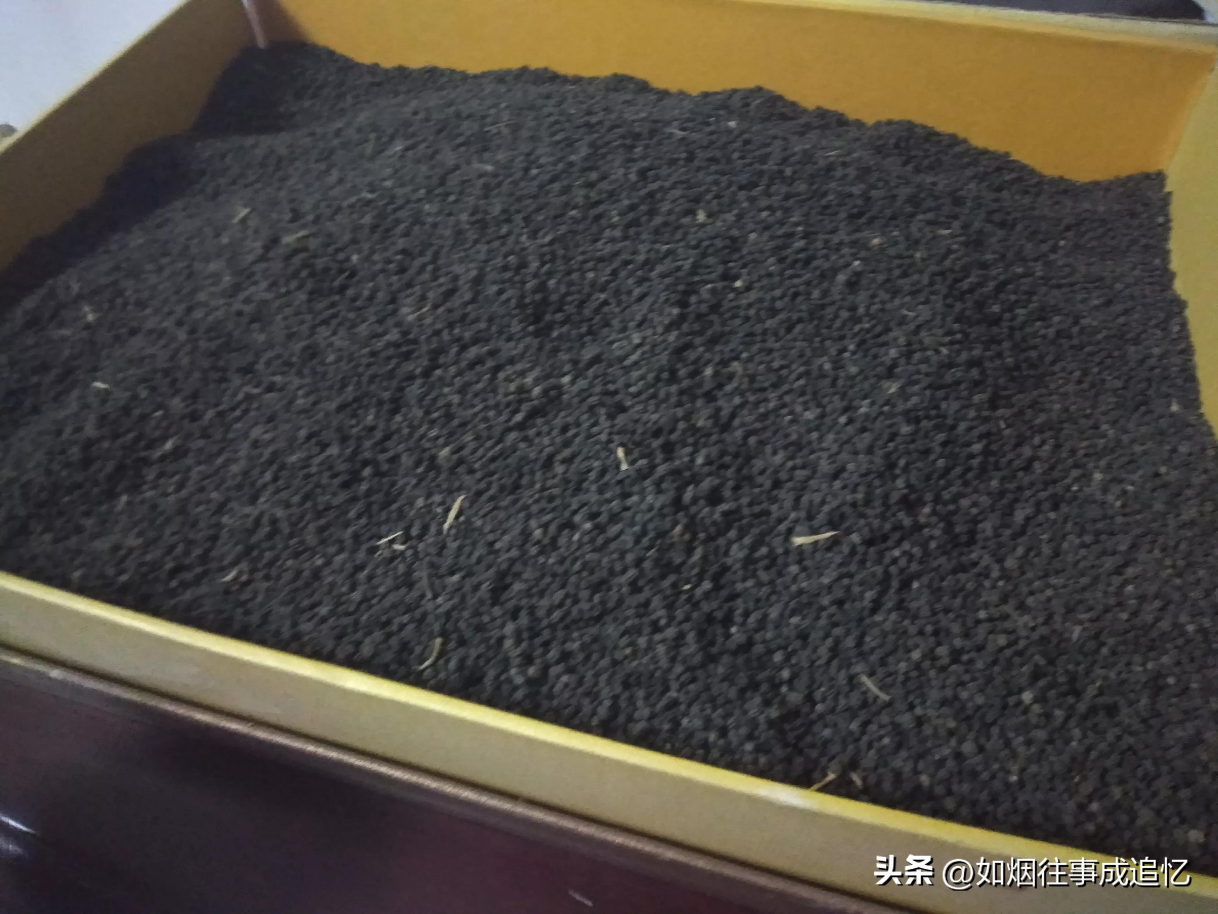 蚕沙做枕头可以用几年,蚕沙做枕头只需晒干就可以吗