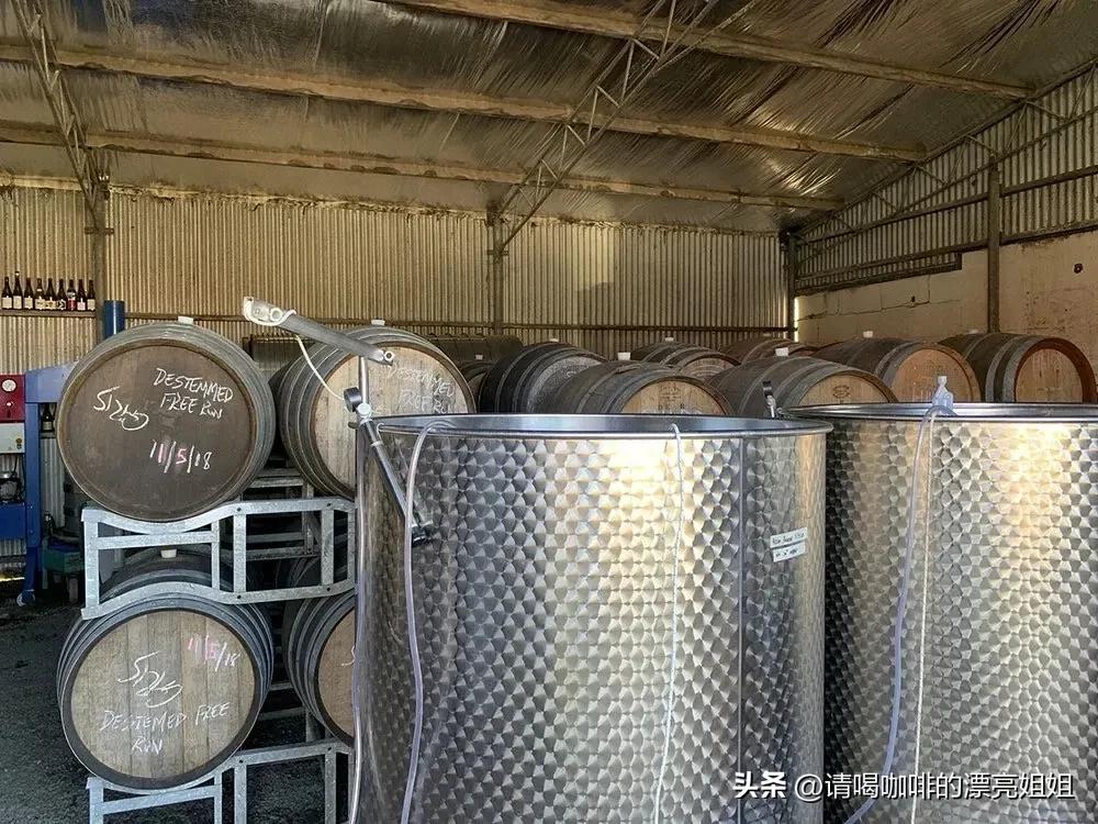 云南天皓庄园咖啡豆,云南天皓庄园