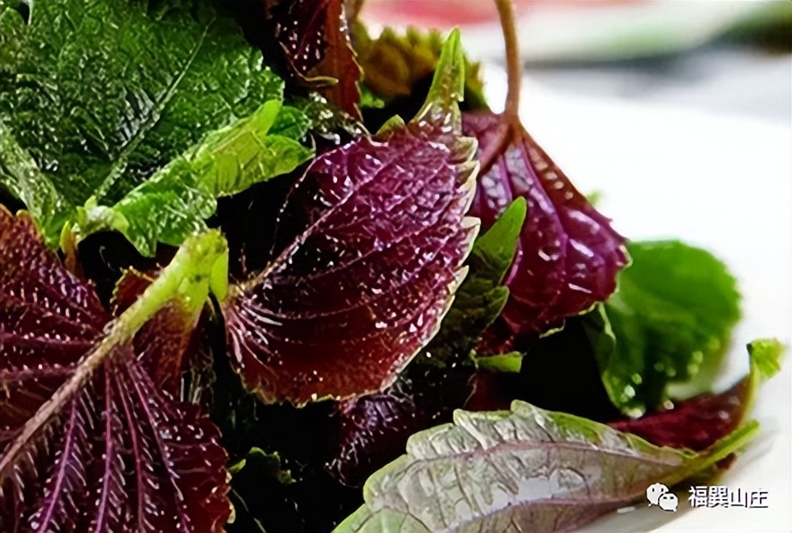 生理期不注意饮食会怎么样,女性雌激素高饮食上应该注意哪些