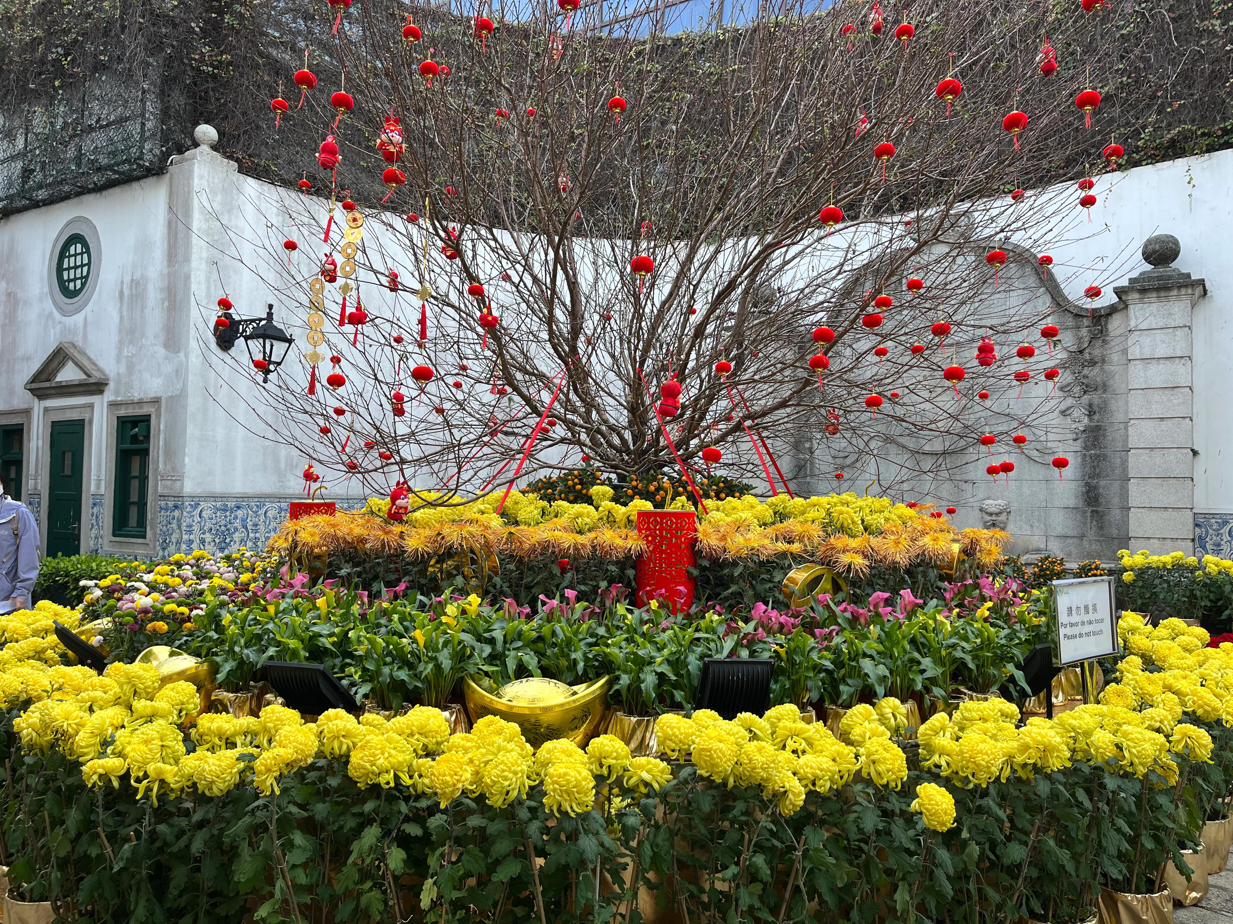 澳门旅游攻略不购物,澳门一日游攻略必备