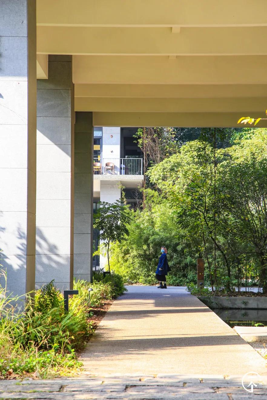 深圳4个绝美海岛,深圳值得游玩的小岛