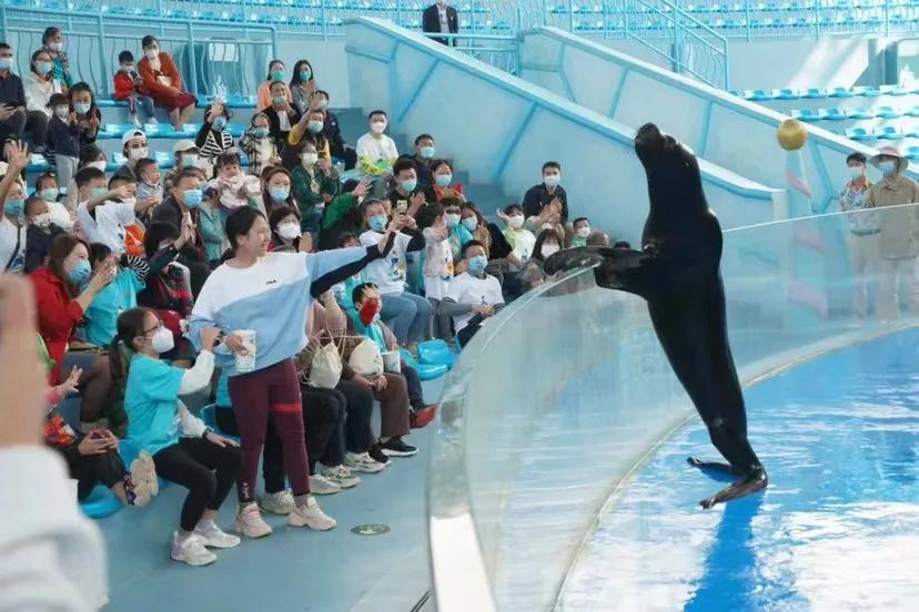 2022年花YOUNG海南·体育研学游推广活动落下帷幕社会各界反响热烈