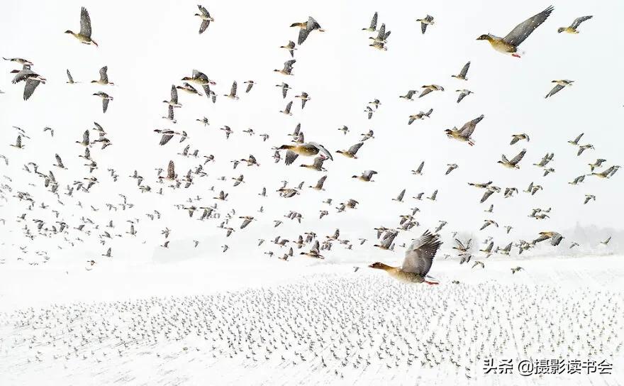 2018年度最佳摄影照片,创造出令人惊叹的自然摄影照片