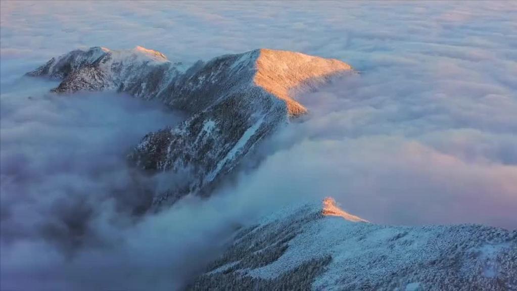 终南山隐居真实事件,真实记录终南山隐居