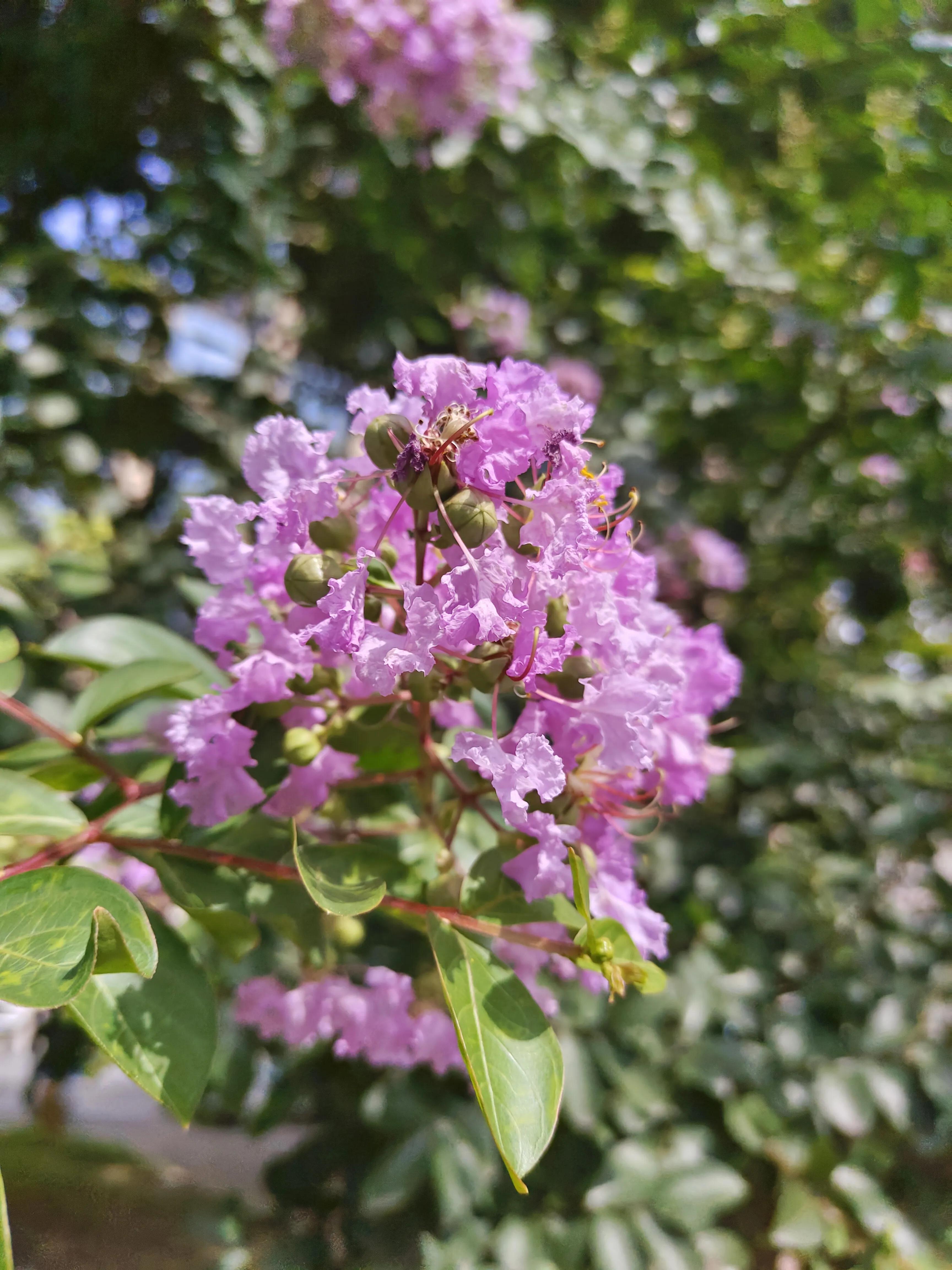 生病了才知道雨伞重要,生病了才知道伞有多重要