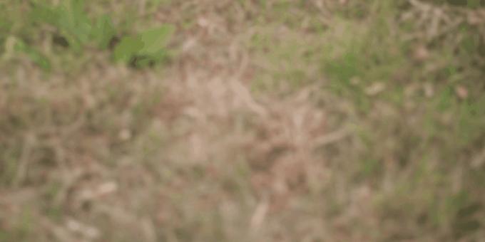 补足短板品质再升级,补齐短板提升弱项