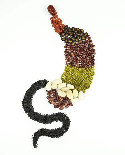 中医里血液的功能,中医对血液系统的解释