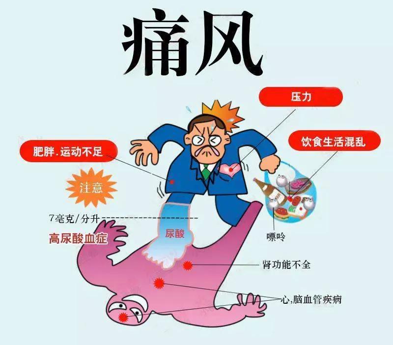 反复痛风怎么办,痛风能治断根的土方法吗