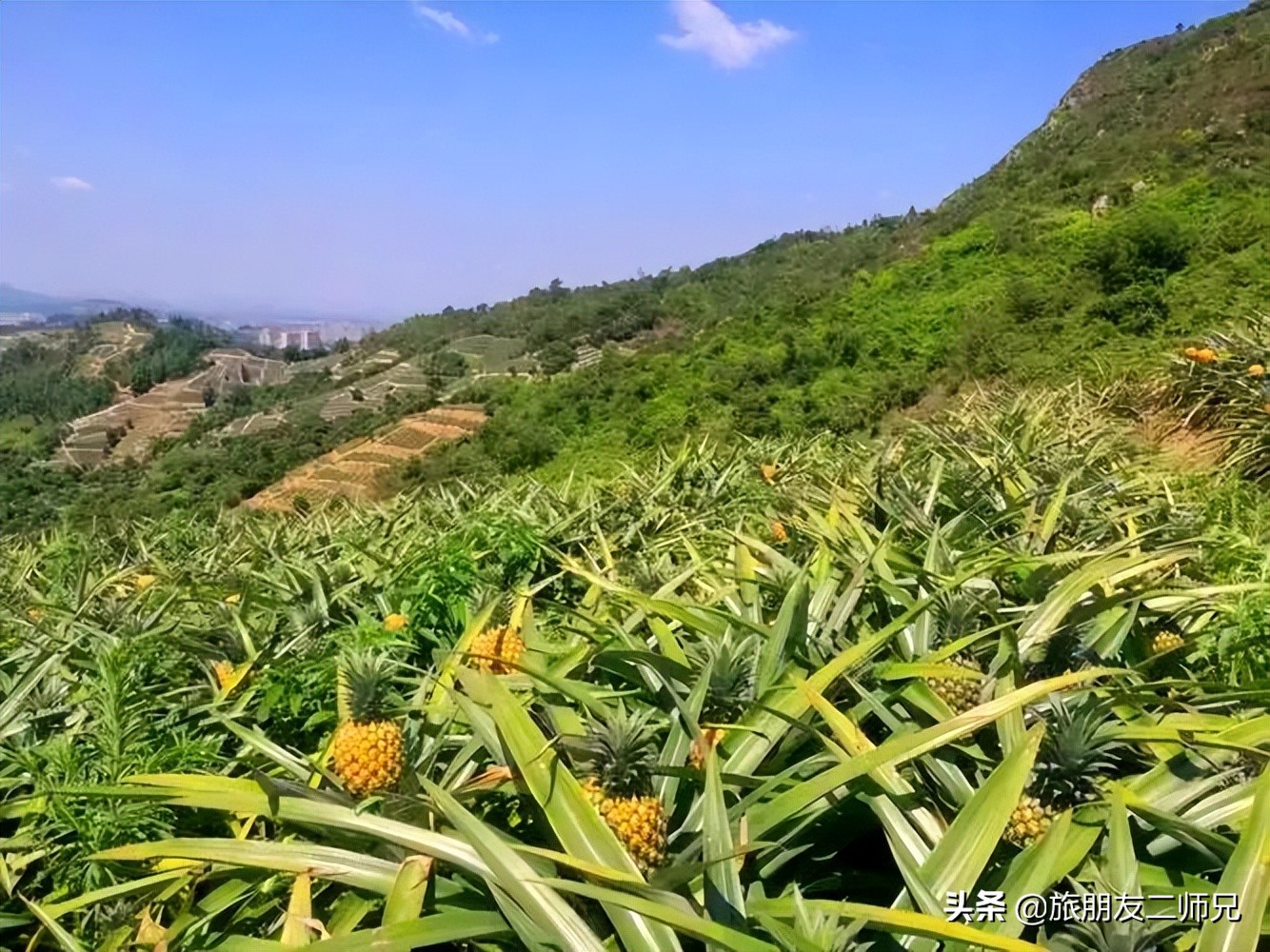 广州中山五日游攻略,广州出发江门2天一夜自由行攻略