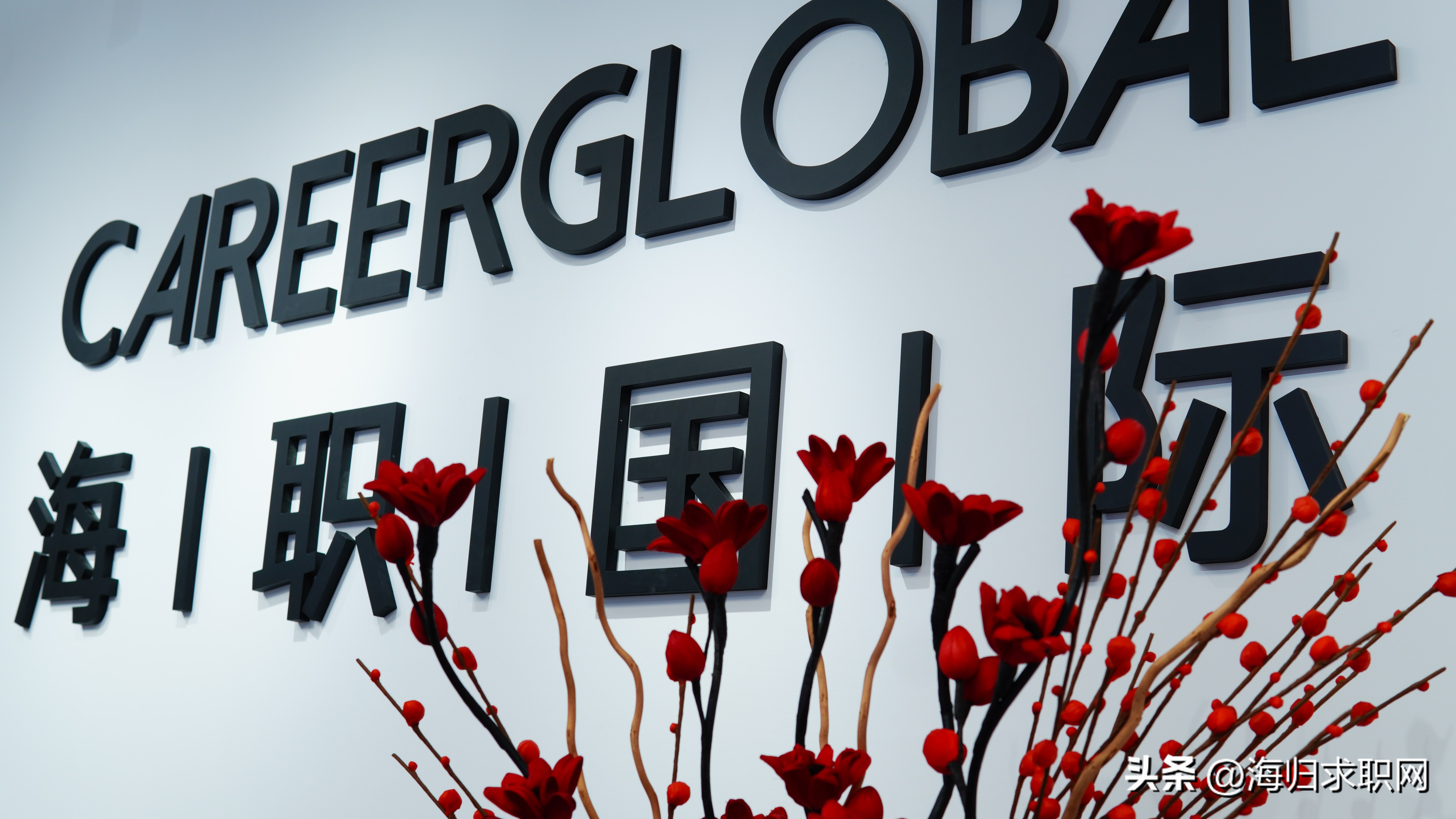 海归求职官网登录入口,海归求职招聘网官网