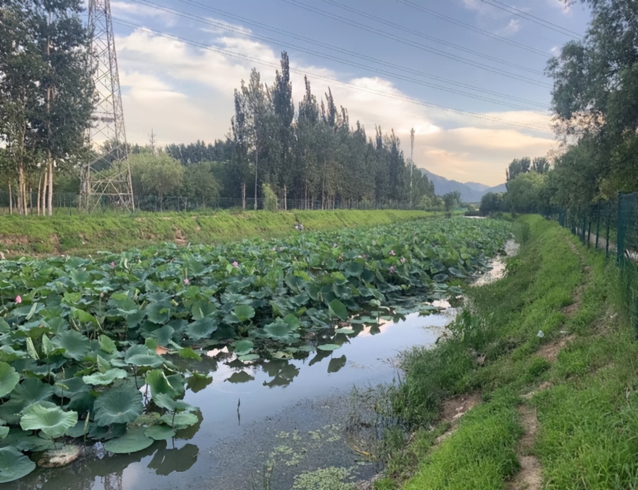 石景山区36件民生实事,2022政府报告十件民生实事