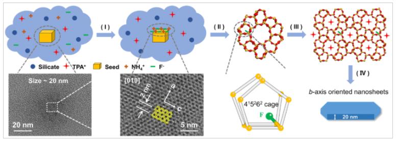 大连理工大学郭教授,大连理工郭院士