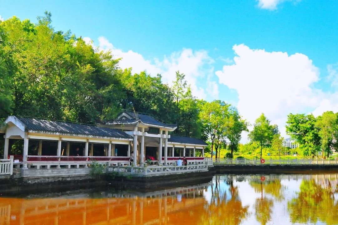 收藏打卡！坪山区原来有这么多地方可以逛，免费又好玩