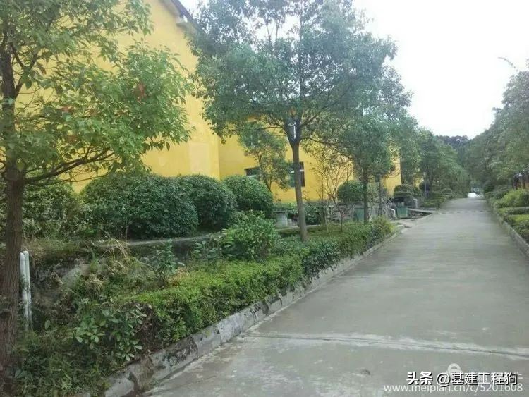 难忘啊老知青,基建工程兵31支队303团历史