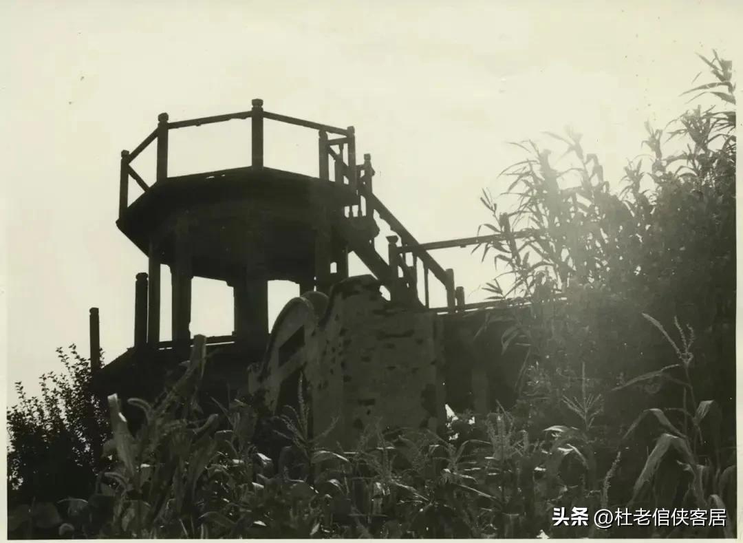 如风往事之——漫谈油菜花开与“白塔”