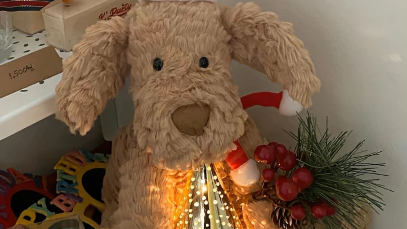 自己过平安夜和圣诞节也很好文案,祝福宝宝圣诞节平安夜文案