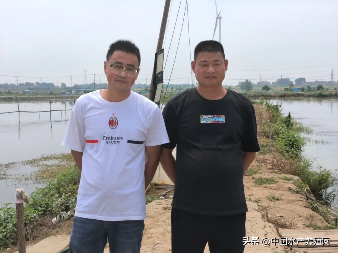 高温死蟹,防止青蟹死亡