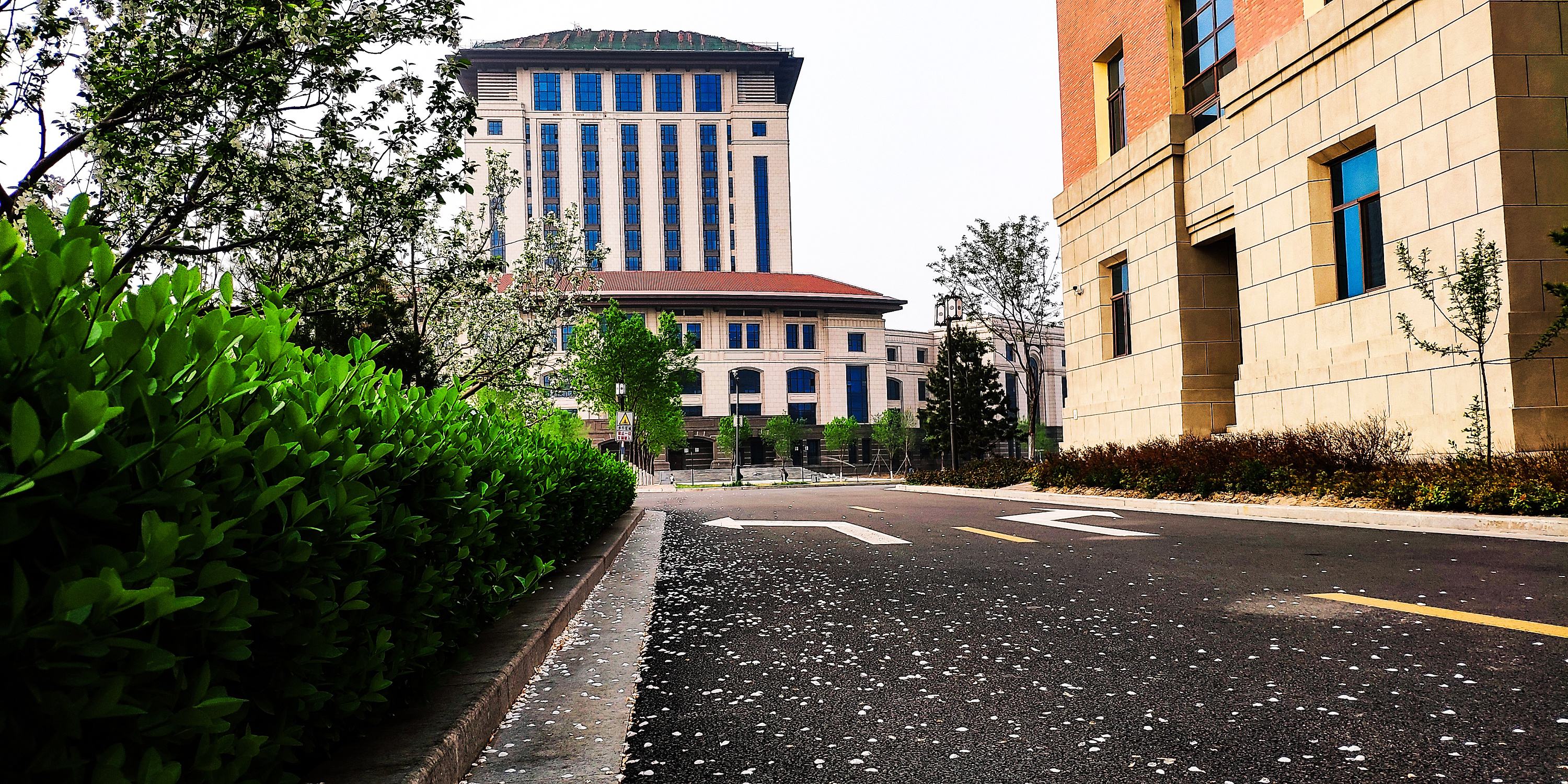 太原理工大学学科实力如何？值得报考吗？